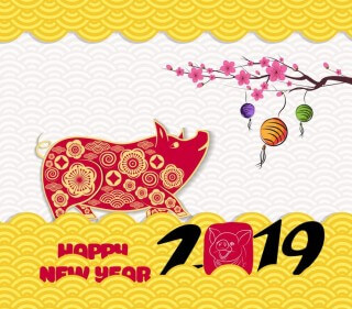 2019 Year of the Golden Boar (Pig)
